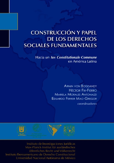 Construcción y papel de los derechos sociales fundamentales